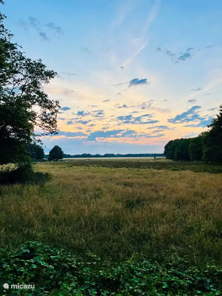 Nationalpark Dwingelderveld