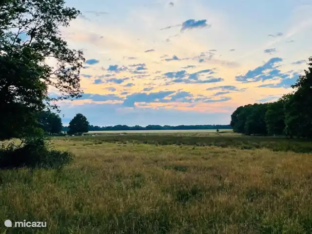 Huize Ruinen | Pays-Bas, Drenthe, Ruinen - maison de vacances Parc national du Dwingelderveld