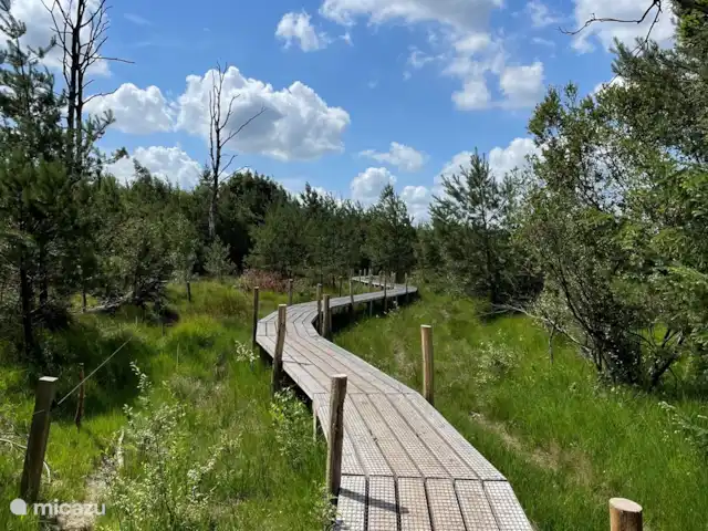 Huize Ruinen | Pays-Bas, Drenthe, Ruinen - maison de vacances Chemin de planches à Spier