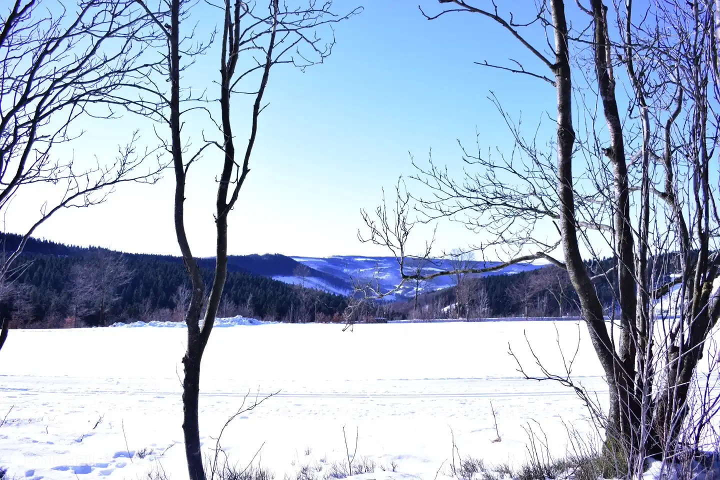 Winter mountain in the snow - January 14, 2022