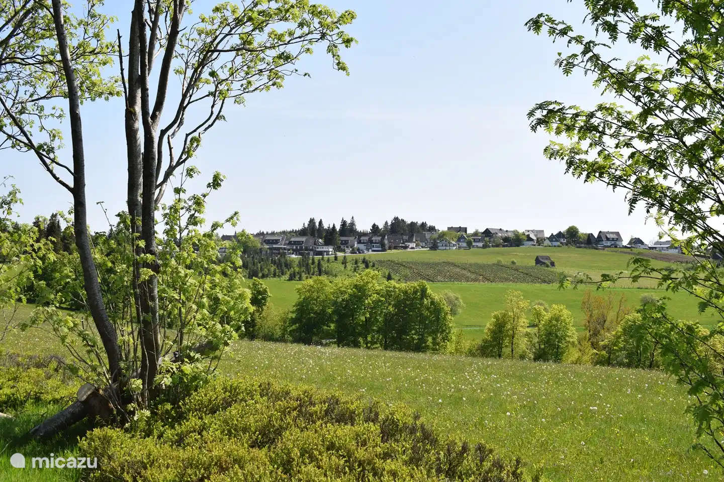 View of Altastenberg