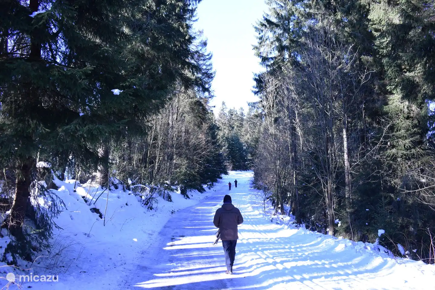Walk in Altastenberg - weekend January 14, 2022 - There are many options for walking and cross-country skiing