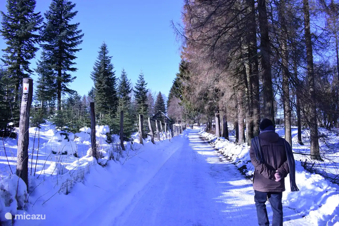 Hike from the apartment to the Kahler Asten and Winterberg