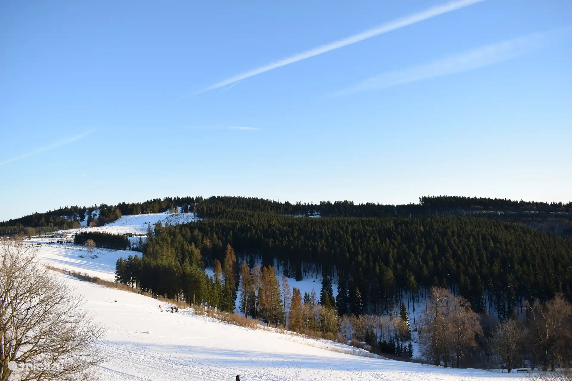 View from the terrace