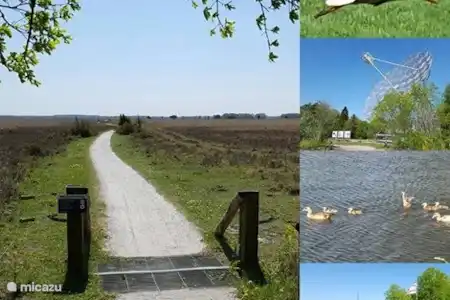 Vakantiehuis Nederland, Drenthe, Diever appartement Aangenaam - Olde Horst nr 2