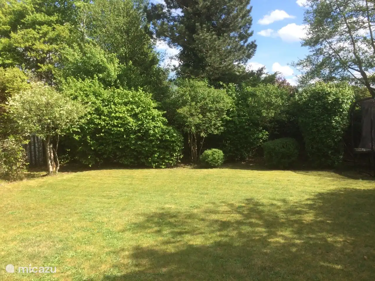 Privatsphäre im Hinterhof