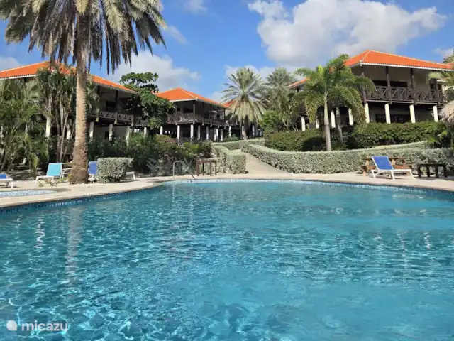 Blue Bay Villa Bon Bini huren in Curaçao, Curacao-Midden, Blue Bay - villa Zwembad
