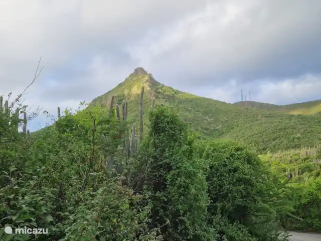 Blue Bay Villa Bon Bini huren in Curaçao, Curacao-Midden, Blue Bay - villa Christoffelpark