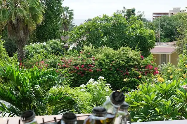 Vacation rental Curaçao, Curacao-Middle, Piscadera holiday house Spacious holiday home with sea view