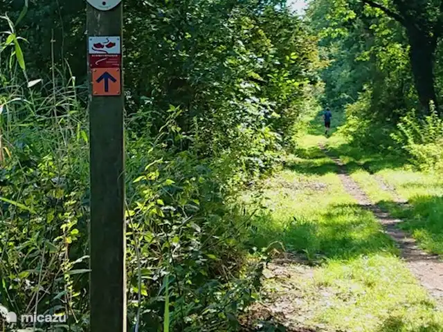Fietsen, Nederland, Utrecht, Zeist, appartement De Bunsing A