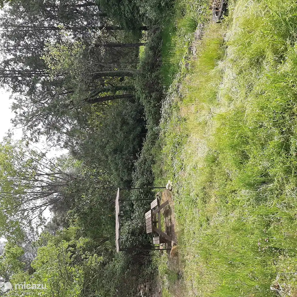 Picknick in unserem versteckten Waldgarten 300m2
