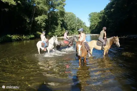 Wandern, Radfahren, Mountainbiken, Reiten (Anfänger und Fortgeschrittene), Schwimmen, Angeln, Höhlenforschung, Abseilen in Höhlen, Yoga, Jeu de Boules, Quadfahren, Goldwaschen im Fluss, für diejenigen, die sich bewegen möchten, gibt es in unmittelbarer Nähe viel zu tun.