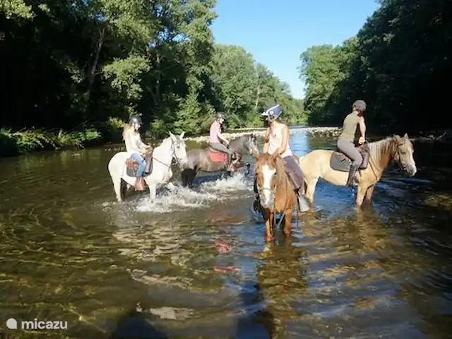 Maison Mymoodz | France, Gard, Cornillon - maison de vacances Randonnée, vélo, VTT, équitation (débutants et avancés), natation, pêche, spéléologie, descente en rappel dans les grottes, yoga, jeu de boules, quad, orpaillage dans la rivière, pour ceux qui veulent faire de l’exercice, il y a beaucoup à faire dans les environs immédiats.