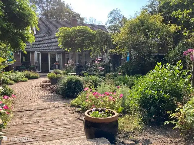 Book Duin and Bosch at Micazu | Micazu