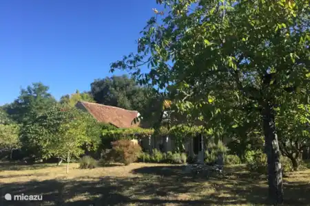 Vakantiehuis Frankrijk, Lot, Nadaillac-de-Rouge vakantiehuis Las Costes
