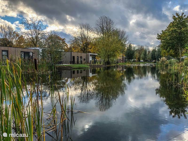 Maison de Vacances Pays-Bas, Gueldre, Hulshorst (lac Veluwe) Chalet Cube Anchor sur le lac Veluwe