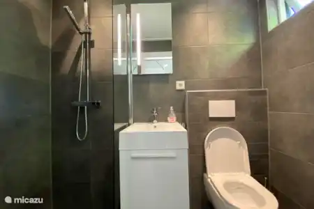 Vakantiehuis Nederland, Zeeland, Scharendijke vakantiehuis Het Baken 119