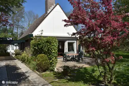 Vakantiehuis Nederland, Zeeland, Scharendijke vakantiehuis Het Baken 120