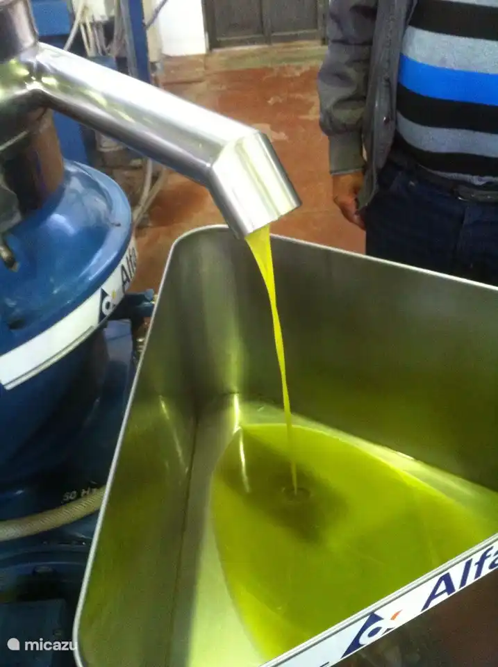 Öl aus unserem eigenen Garten