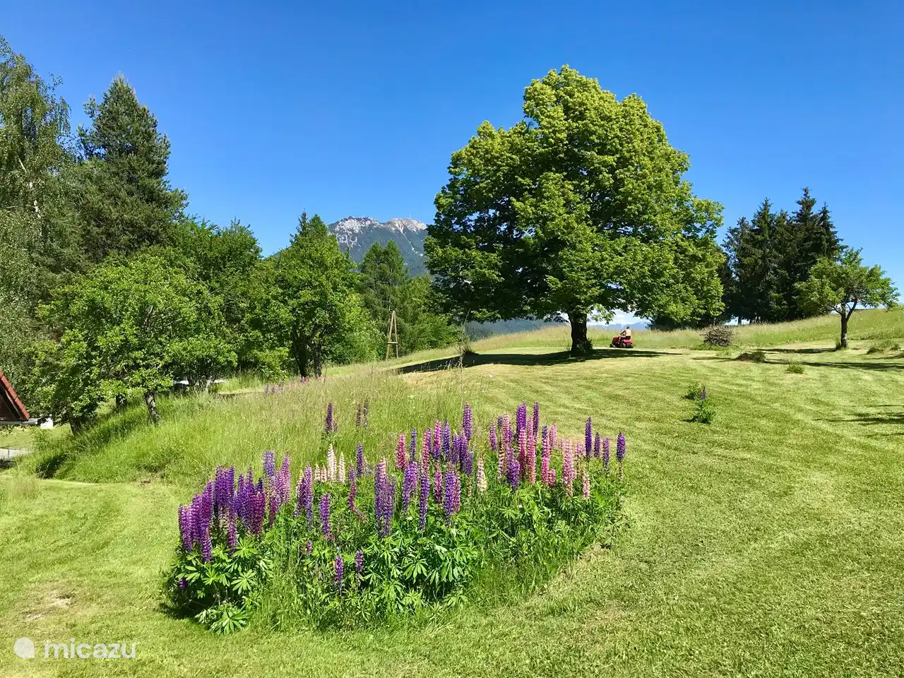 Die Tilia mit dem Hausberg Dobratsch (villacher Alpe) dahinter