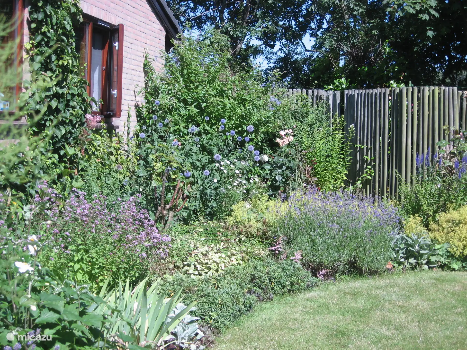 Garten an Küchen- und Schlafzimmerfenster