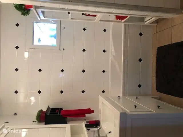 Badkamer beneden met ligbad