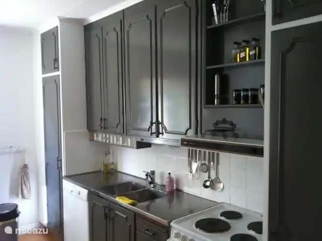 Wandelen, Zweden, Värmland, Munkfors, villa Vakantievilla Zweden Keuken