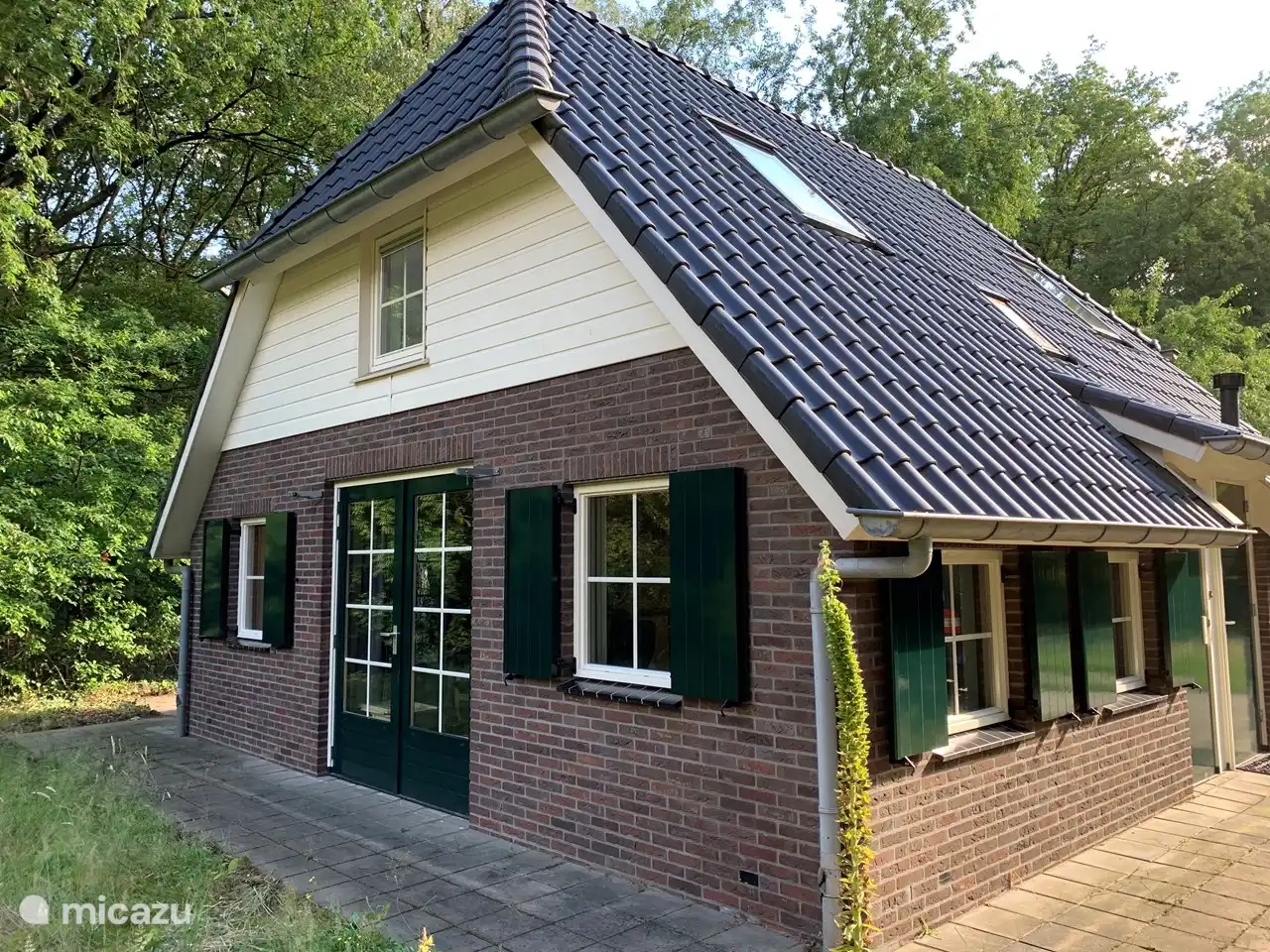 Ferienhaus in einem Waldgebiet in Niederlande, Overijssel, Lemele - ferienhaus