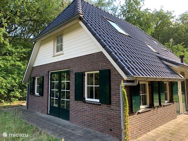 Ferienwohnung Niederlande, Overijssel, Lemelerveld - ferienhaus Ferienhaus in einem Waldgebiet