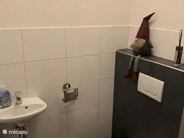Location de Vacances Pays-Bas, Overijssel, Lemele, maison de vacances - Maison de vacances dans une zone boisée Aparte toilet, erg ruim.