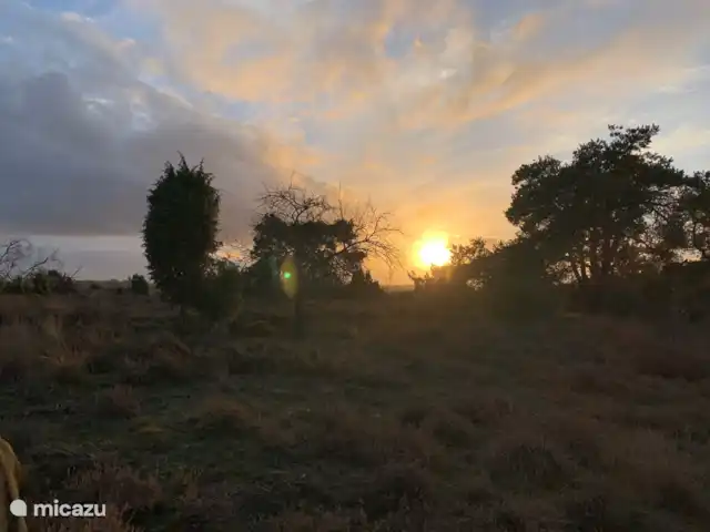 Location de Vacances Pays-Bas, Overijssel, Lemele, maison de vacances - Maison de vacances dans une zone boisée Lemelerberg, heerlijke plek om te wandelen, fietsen, paardrijden etc.
