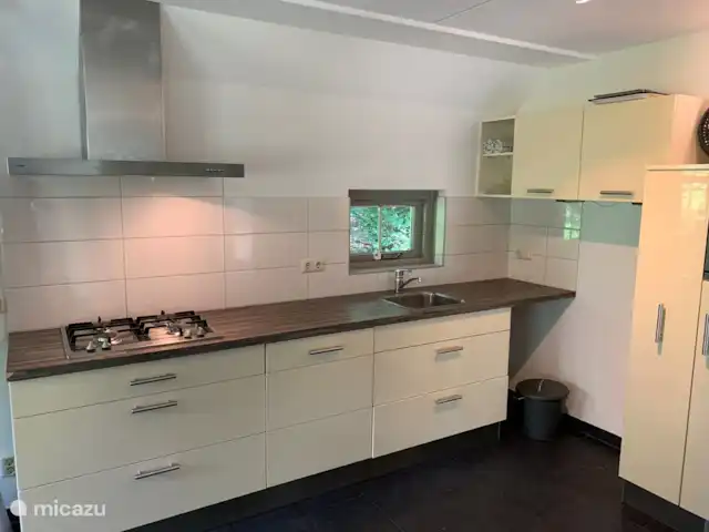 Location de Vacances Pays-Bas, Overijssel, Lemele, maison de vacances - Maison de vacances dans une zone boisée Keuken waar heerlijk gekookt en gebakken kan worden.
