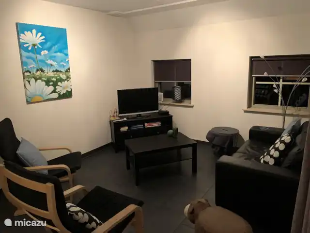 Location de Vacances Pays-Bas, Overijssel, Lemele, maison de vacances - Maison de vacances dans une zone boisée Woonkamer, heerlijk knus en gezellig