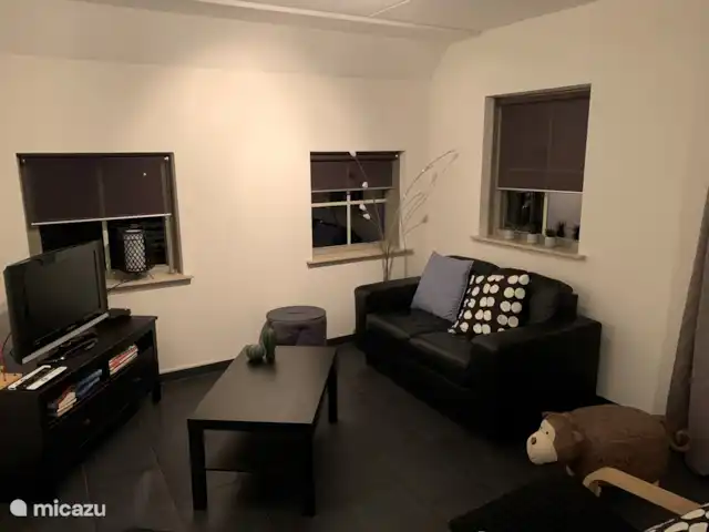 Location de Vacances Pays-Bas, Overijssel, Lemele, maison de vacances - Maison de vacances dans une zone boisée Woonkamer, heerlijk knus en gezellig