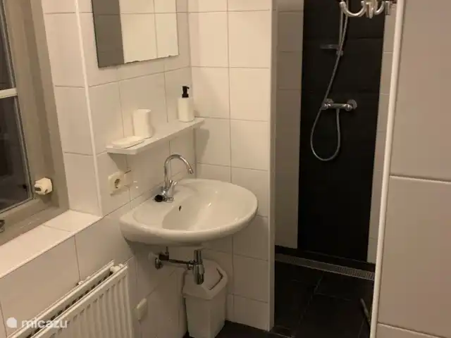 Location de Vacances Pays-Bas, Overijssel, Lemele, maison de vacances - Maison de vacances dans une zone boisée Badkamer met douche en wastafel