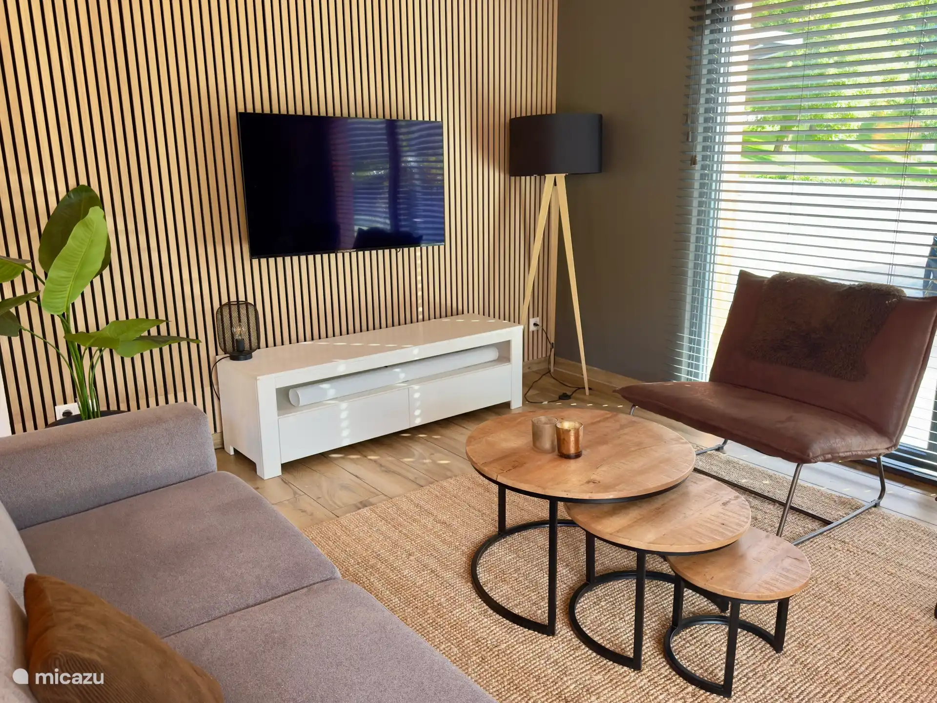 Modern furnished living room