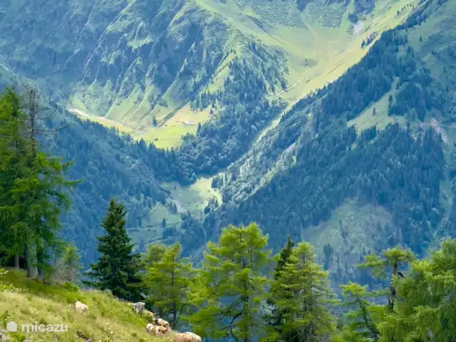 Chalet de luxe Mauthner Alm | Autriche, Carinthie, Kötschach-Mauthen - chalet Vue