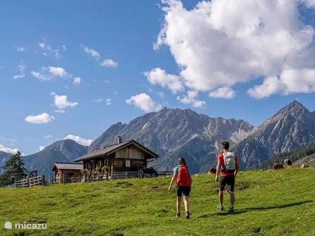 Chalet de luxe Mauthner Alm | Autriche, Carinthie, Kötschach-Mauthen - chalet Randonnée dans les montagnes