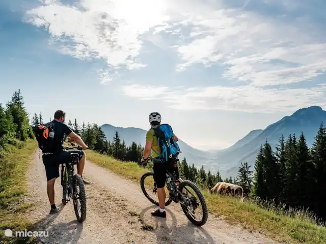 Chalet de luxe Mauthner Alm | Autriche, Carinthie, Kötschach-Mauthen - chalet Faire du vélo sur l’un des nombreux itinéraires cyclables.