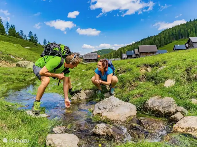 Chalet de luxe Mauthner Alm | Autriche, Carinthie, Kötschach-Mauthen - chalet Randonnée dans les montagnes