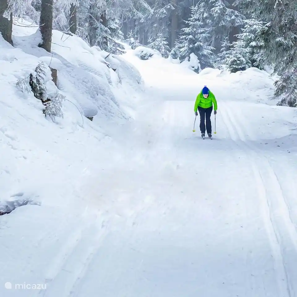 Skiing in the snow-sure ski area.