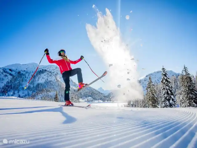 Chalet de luxe Mauthner Alm | Autriche, Carinthie, Kötschach-Mauthen - chalet Skier dans le domaine skiable à l’enneigement garanti.