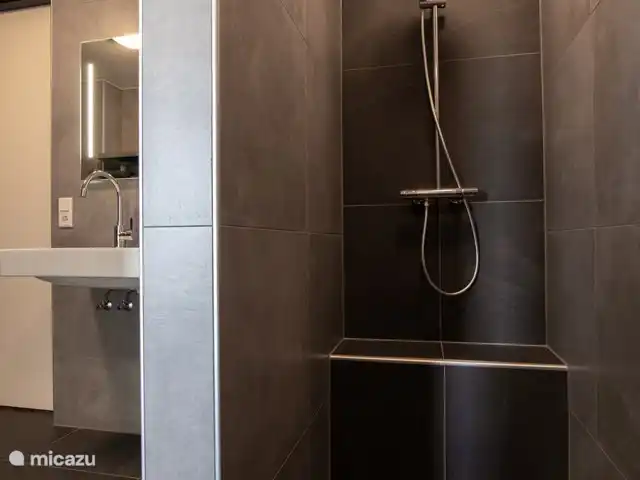 Patrimoine Middendorp | Pays-Bas, Drenthe, Ansen - maison de vacances Coudes de salle de bain