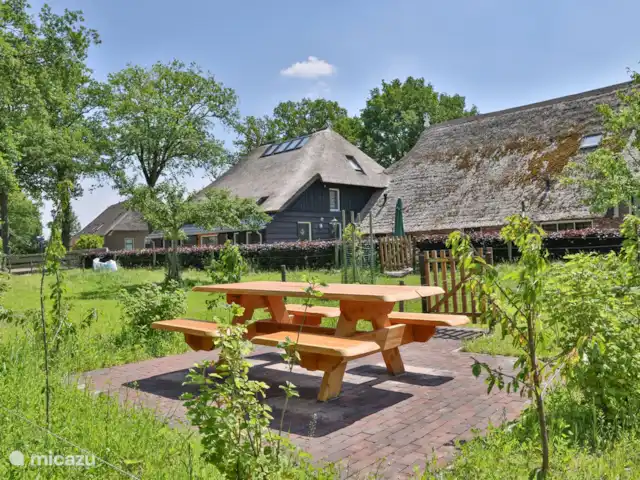 Patrimoine Middendorp | Pays-Bas, Drenthe, Ansen - maison de vacances Terrasse 2