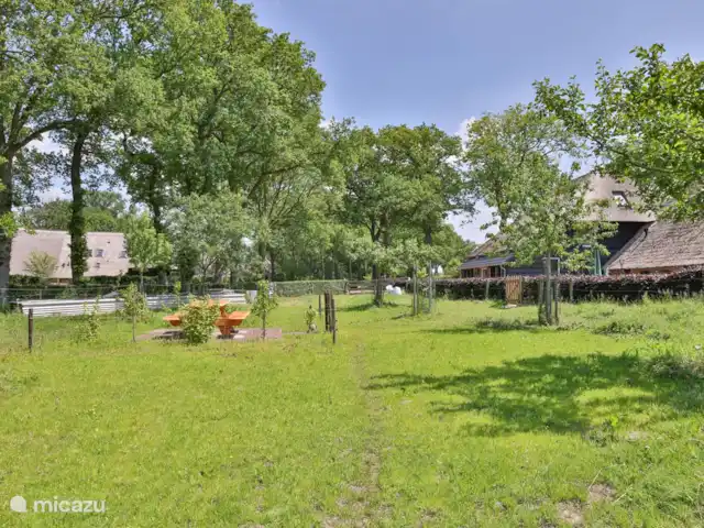 Patrimoine Middendorp | Pays-Bas, Drenthe, Ansen - maison de vacances Terrasse 2