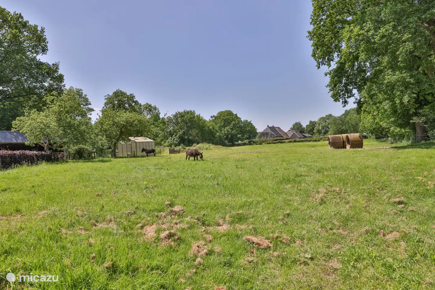 weide bij vakantiehuis