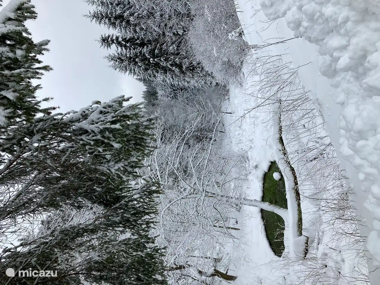 See here the garden of the Waldhaus. In the middle of the photo you can see the seepage, the beginning of the Renau. And with a bit of luck, you can see the deer jumping in the forest. 