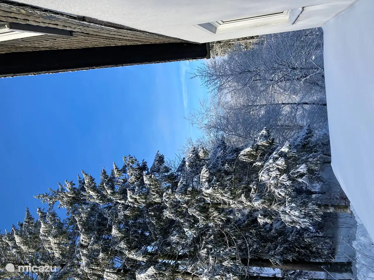 Waldhaus Winterberg is beautifully situated in the middle of the forest.