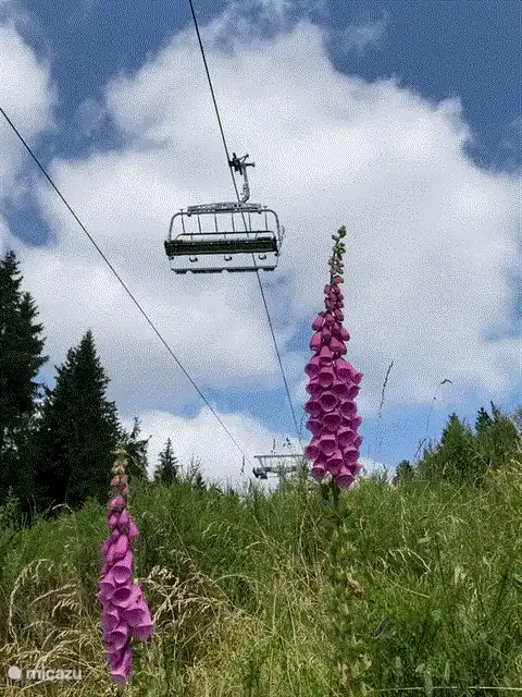 From home you can make the most beautiful walks, through the forest or to a mountain hut