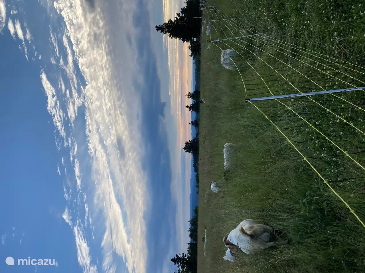 Waldhaus Winterberg is located at the foot of the Kahler Asten. The well-known Rothaarsteig hiking trail runs past the holiday home. 